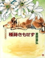 #星野富弘 #花の詩画集種蒔きもせず