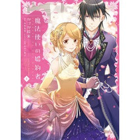 魔法使いの婚約者　　　４