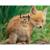 画像をギャラリービューアに読み込む, Ｌｏｏｋ　ａｔ　ｍｅ！　動物たちと目が合
