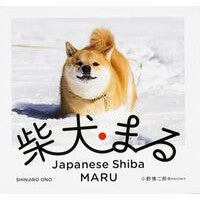 画像をギャラリービューアに読み込む, 柴犬まる
