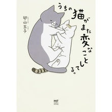 画像をギャラリービューアに読み込む, うちの猫がまた変なことしてる。

