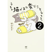 画像をギャラリービューアに読み込む, うちの猫がまた変なことしてる。　　　２
