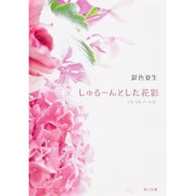 Load image into Gallery viewer, ＃銀色　夏生 ＃しゅるーんとした花影　つれづれノー　２１ ｷﾞﾝｲﾛﾅﾂｵ 角川書店(角川グループパブリッシング) しゅるーんとした花影 つれづれノート２１ (角川文庫) : Silver Natsuo Silky flower shadow Tsurezure  : Silver Natsuo Silky flower sha :9784041001950
