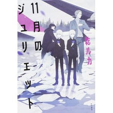 Load image into Gallery viewer, ＃乾 ルカ ＃１１月のジュリエット ｲﾇｲﾙｶ KADOKAWA/角川書店 11月のジュリエット : Luka Inui juliet in november :9784041014608
