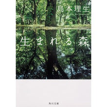 画像をギャラリービューアに読み込む, ＃島本　理生 ＃生まれる森 ｼﾏﾓﾄﾘｵ KADOKAWA (角川文庫) : Rio Shimamoto the forest that is born :9784041067512
