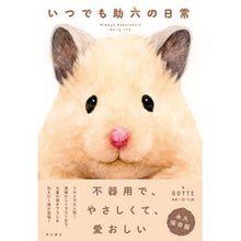 画像をギャラリービューアに読み込む, いつでも助六の日常
