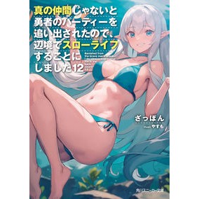 真の仲間じゃないと勇者のパーティー　１２