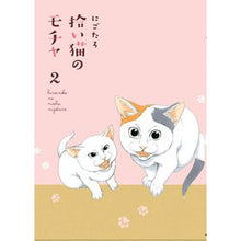画像をギャラリービューアに読み込む, 拾い猫のモチャ　　　２
