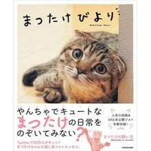 画像をギャラリービューアに読み込む, まつたけびより
