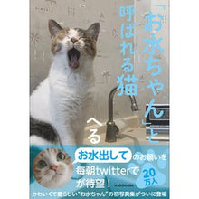 画像をギャラリービューアに読み込む, 「お水ちゃん」と呼ばれる猫
