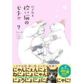 拾い猫のモチャ　　　７