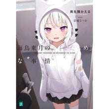 Load image into Gallery viewer, 海鳥東月の『でたらめ』な事情
