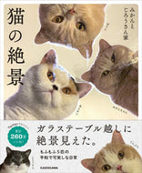 #みかんとじろうさん家 #猫の絶景