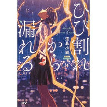 画像をギャラリービューアに読み込む, ひび割れから漏れる
