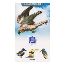 画像をギャラリービューアに読み込む, 鳥

