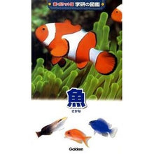 画像をギャラリービューアに読み込む, 魚
