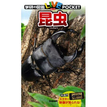 画像をギャラリービューアに読み込む, 昆虫
