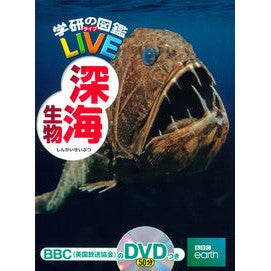 深海生物　ＤＶＤつき