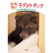 画像をギャラリービューアに読み込む, すくすく育て！子ダヌキポンタ　小さな命が
