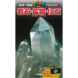岩石・鉱物・化石