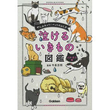 画像をギャラリービューアに読み込む, 泣けるいきもの図鑑　イヌ・ネコ編
