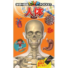 画像をギャラリービューアに読み込む, 人体
