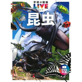 昆虫　新版