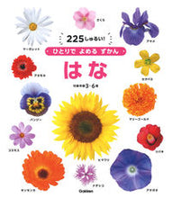 画像をギャラリービューアに読み込む, #Ｇａｋｋｅｎ #ひとりでよめるずかんはな
