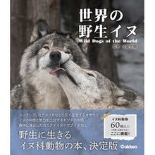 画像をギャラリービューアに読み込む, ＃今泉忠明 ＃世界の野生イヌ ｲﾏｲｽﾞﾐﾀﾀﾞｱｷ Gakken : Tadaaki Imaizumi wild dogs of the world :9784054069992
