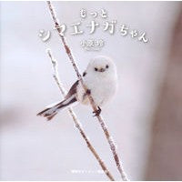 画像をギャラリービューアに読み込む, ＃小原 玲 ＃もっとシマエナガちゃん ｵﾊﾗﾚｲ 講談社 講談社ビーシー : Rei Ohara More Shimaenaga-chan :9784062208659
