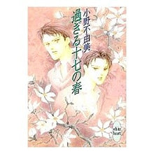 Load image into Gallery viewer, ＃小野　不由美 ＃過ぎる十七の春 ｵﾉﾌﾕﾐ 講談社 (講談社X文庫 おC- 10 ホワイトハート) : Fuyumi Ono Seventeen springs have passed :9784062552011
