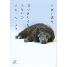 画像をギャラリービューアに読み込む, 傷つきたくないあなたのスローセックス

