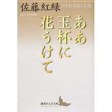 画像をギャラリービューアに読み込む, ああ玉杯に花うけて　少年倶楽部名作選
