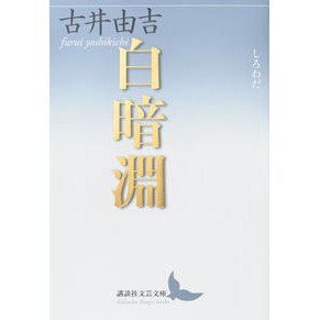 白暗淵