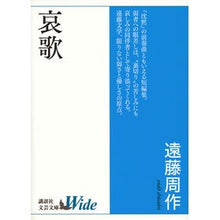 画像をギャラリービューアに読み込む, 哀歌
