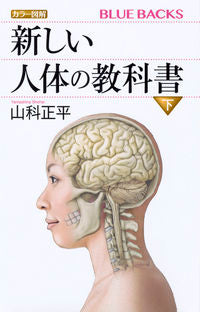 ＃山科　正平　著 ＃カラー図解　新しい人体の教科書　下 ﾔﾏｼﾅｼﾖｳﾍｲ :9784065020241