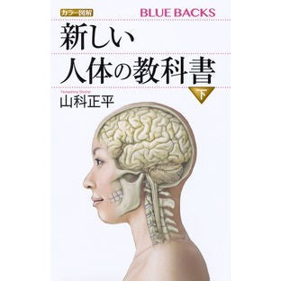 カラー図解　新しい人体の教科書　下