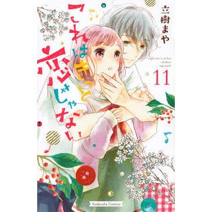 これはきっと恋じゃない　　１１