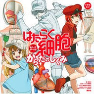 ＃講談社　編 ＃めくって学べる！はたらく細胞からだのしく ｺｳﾀﾞﾝｼﾔ 講談社 めくって学べる! はたらく細胞 からだのしくみ : Edited by Kodansha Learn by flipping through! :9784065219683