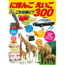 画像をギャラリービューアに読み込む, にほんごえいごこれなあに３００
