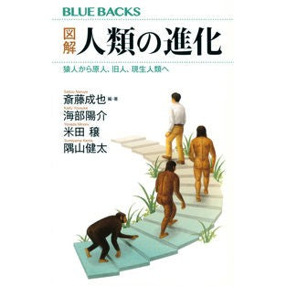 図解　人類の進化　猿人から原人、旧人、現