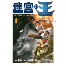 Load image into Gallery viewer, 迷宮の王　　　１
