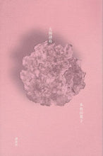 Load image into Gallery viewer, #YokoTawada #TheSunIslands
