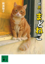 Load image into Gallery viewer, #KeikoNiimi #WindowCatsOfTheWorld
