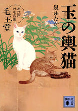 画像をギャラリービューアに読み込む, #泉ゆたか #玉の輿猫お江戸けもの医毛玉堂 :9784065298268
