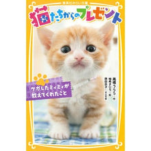 画像をギャラリービューアに読み込む, 猫たちからのプレゼント　ケガしたミィミィ
