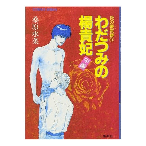 わだつみの揚貴妃　中編　炎の蜃気楼　１１