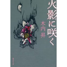 画像をギャラリービューアに読み込む, 火影に咲く Noboru Kiuchi
