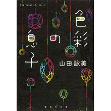 画像をギャラリービューアに読み込む, 色彩の息子
