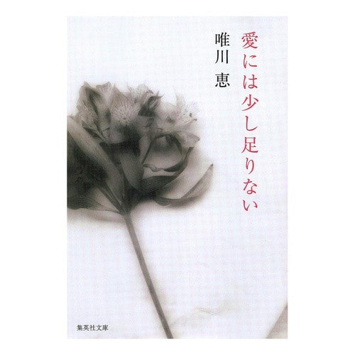 愛には少し足りない Megumi Yuikawa